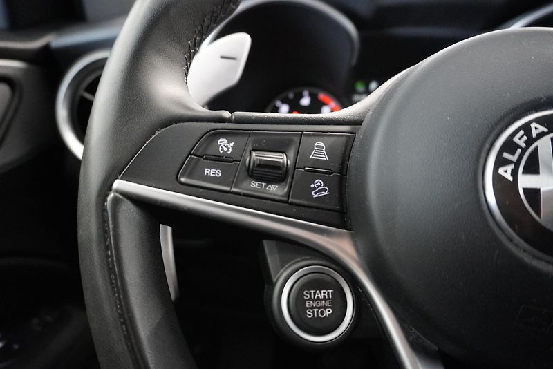 Alfa Romeo Stelvio (2018) STELVIO 2.2D Q4 AUTOMAT - fotka 18 z 35
