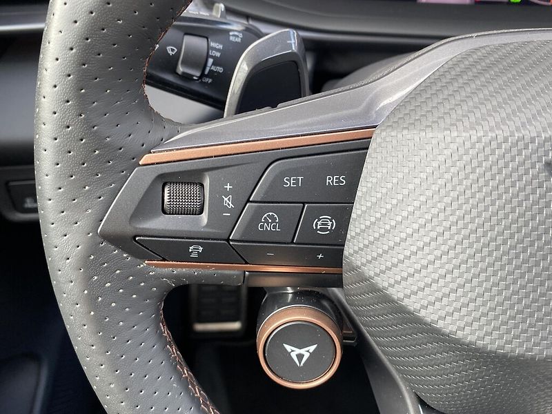 Cupra Terramar 2,0 TSI 150 kW 4WD DSG - fotka 13 z 26