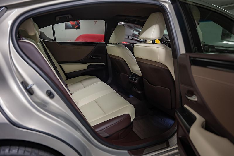 Lexus ES 300h (2020) Luxury, LED, 360, DPH - fotka 19 z 27