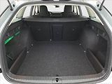 Škoda Octavia (2022) Ambition 2.0 TDI, ČR,1.maj - náhled 13
