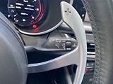 Alfa Romeo Stelvio (2024) 2,2 JTD  Veloce (154kW) NM 4x4 - náhled 14