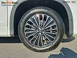 Volkswagen Tayron (2025) 2.0 TDI,142kW,DSG,4x4,Matrix,T - náhled 29