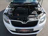 Škoda Octavia 1,6 TDi,77kW,NovéČR,tempomat - náhled 20