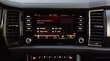 Škoda Kodiaq TDI 147kW 4x4 SPORTLINE-CR-DPH - náhled 41