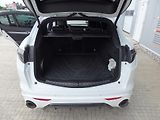 Alfa Romeo Stelvio 2.0 TURBO Q4 TRIBUTO ITALIANO - náhled 8