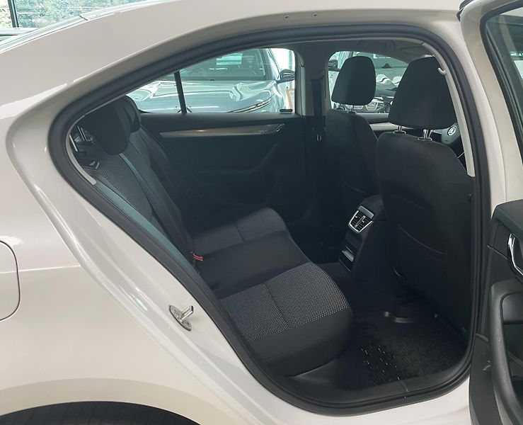 Škoda Octavia 1,6TDi Ambition, ČR - fotka 12 z 21