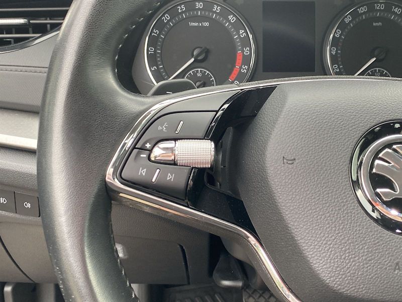 Škoda Octavia (2023) Combi 2.0 TDI DSG Ambition - fotka 18 z 30