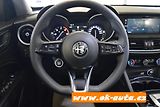 Alfa Romeo Stelvio 2.2 JTD Q4 FACELIFT 2021 - náhled 28