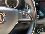 Škoda Kodiaq (2018) 2.0 TDI 4x4 DSG Style + - náhled 21