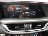 Alfa Romeo Stelvio 2.0 TURBO Q4 ZÁLOHOVÁNO - náhled 15