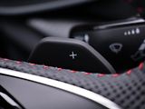 Škoda Octavia 2,0 TSI DSG RS DPH 1.maj CZ - náhled 25