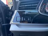 Audi Q8 3,0 55TFSi quattro Sport - náhled 39