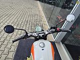 Royal Enfield Interceptor 650 (2026) Interceptor BEAR 650 - náhled 44
