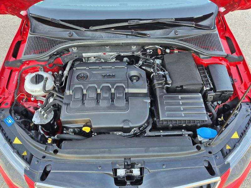 Škoda Octavia (2017) 2.0 TDI 110 kW DSG - fotka 32 z 35