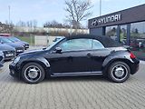 Volkswagen New Beetle 1.6 TDI/77kW Cabrio - náhled 13