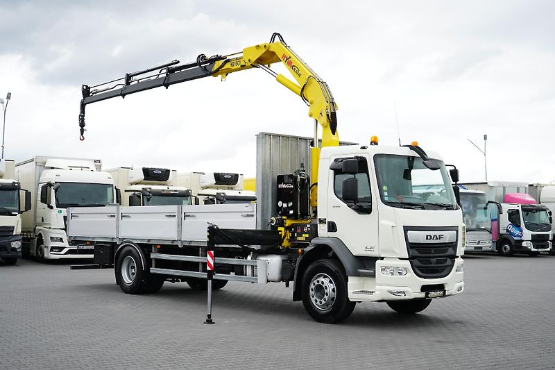 DAF LF (2014) 250 / SKRZYNIOWY + HDS / HYVA  - fotka 2 z 56