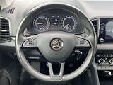 Škoda Karoq (2019) 2.0 TDI 4x4 Ambition Plus - náhled 19