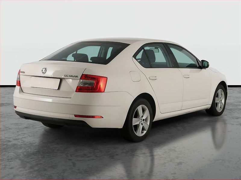 Škoda Octavia (2019) 1.6 TDI, Tempomat - fotka 5 z 18