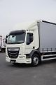 DAF LF (2019) 290 / E 6 / FIRANKA + WINDA /  - náhled 21