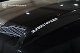 Ford F-150 (2020) SHELBY  - náhled 29
