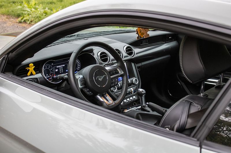 Ford Mustang - fotka 18 z 45