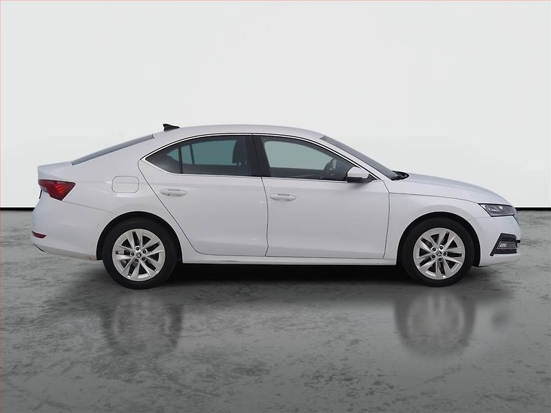 Škoda Octavia (2023) 2.0 TDI, ČR,1.maj, Kůže - fotka 6 z 19