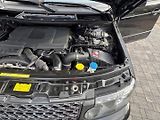 Land Rover Range Rover (2011) 4.4 TD V8 VOGUE, odpočet DPH - náhled 39