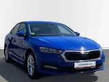 Škoda Octavia (2022) 2.0 TDI 85kW Ambition - náhled 8