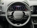 Škoda Karoq 2.0TDi DSG 4x4 150PS Matrix-LE - náhled 19