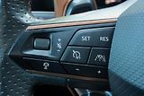 Cupra Formentor VZ 2.0 TSI, Remus, Beats, PPF - náhled 19
