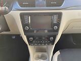 Škoda Rapid (2019) 1.0TSI, ČR, Navi, bixen - náhled 12