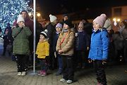 Auta svítící jako vánoční stromečky projela jižním Plzeňskem pro dobrou věc.
