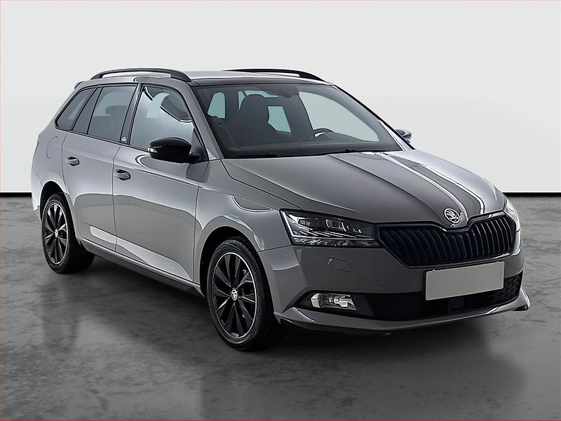 Škoda Fabia (2019) Monte Carlo 1.0 TSI, Tempomat - fotografie inzerátu