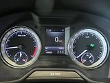 Škoda Octavia (2020) 2.0TDI,DSG,kamera,klim,navi - náhled 6