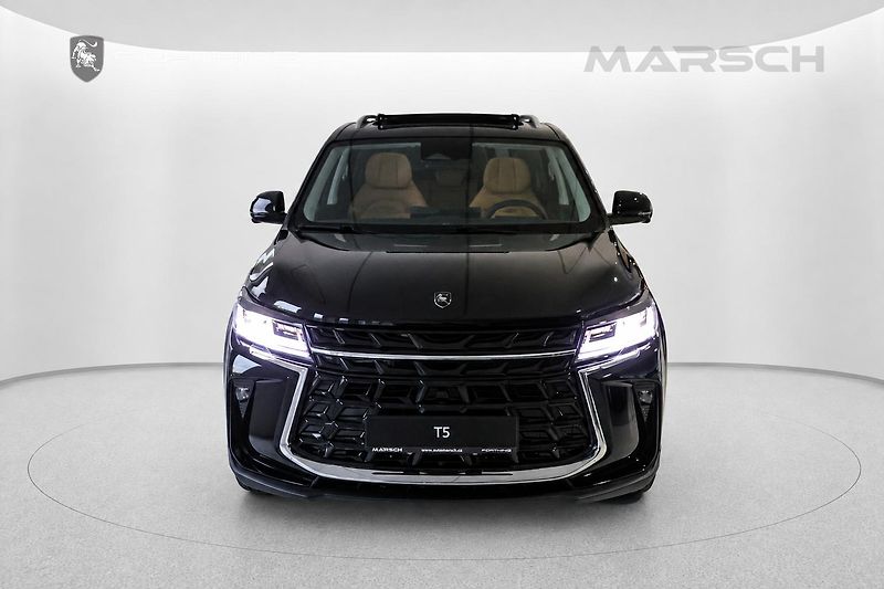 Dongfeng Ostatní (2026) T5 - fotka 3 z 17