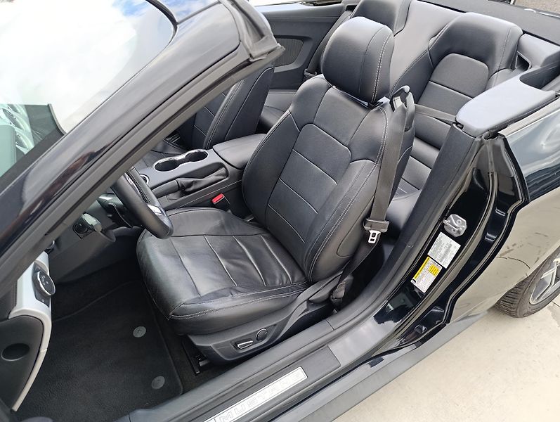 Ford Mustang 2.3 ECOBOOST CONVERTIBLE  - fotka 17 z 32