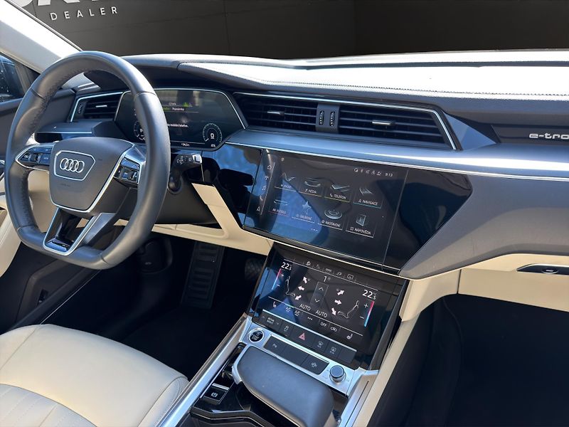 Audi e-tron (2023) 55 300KW 21 ALU PANORAMA - fotka 16 z 27