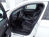 Alfa Romeo Stelvio 2.0 TURBO Q4 TRIBUTO ITALIANO - náhled 6