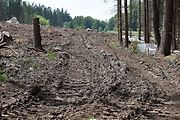 Na trase D11 Jaroměř - Trutnov skončilo kácení dřevin.