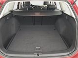 Volkswagen Golf (2015) 1.6 TDI, Tempomat - náhled 13
