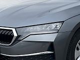 Škoda Octavia (2025) OCT.COMBI TOP SELECTION 2,0 TD - náhled 12