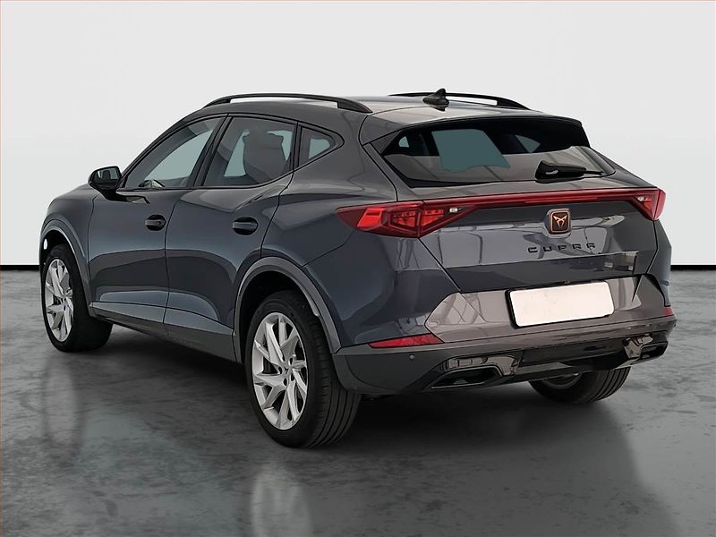 Cupra Formentor (2024) 2.0 TSI 4Drive - fotka 4 z 21