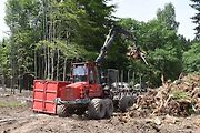 Na trase D11 Jaroměř - Trutnov skončilo kácení dřevin.