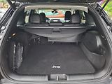 Jeep Cherokee (2019) 2.2M-JET 143kW 4X4 LIMITED - náhled 36