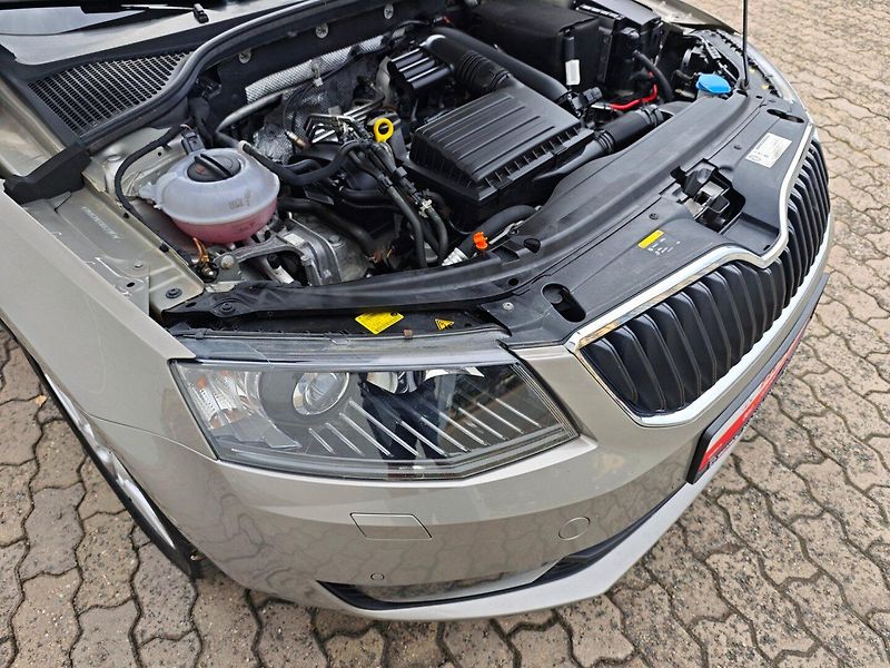 Škoda Octavia (2013) 1.4 TSi Elegance Tempomat - fotka 31 z 42
