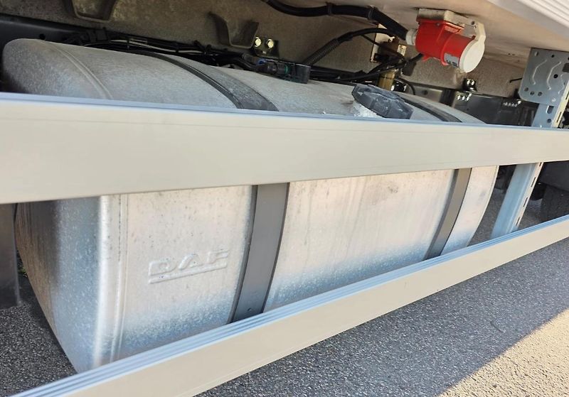 DAF LF (2019) 260 chlaďák EURO 6 - fotka 11 z 16