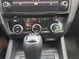 Škoda Octavia (2019) 1.6 TDI 115k DSG TZ  - náhled 14