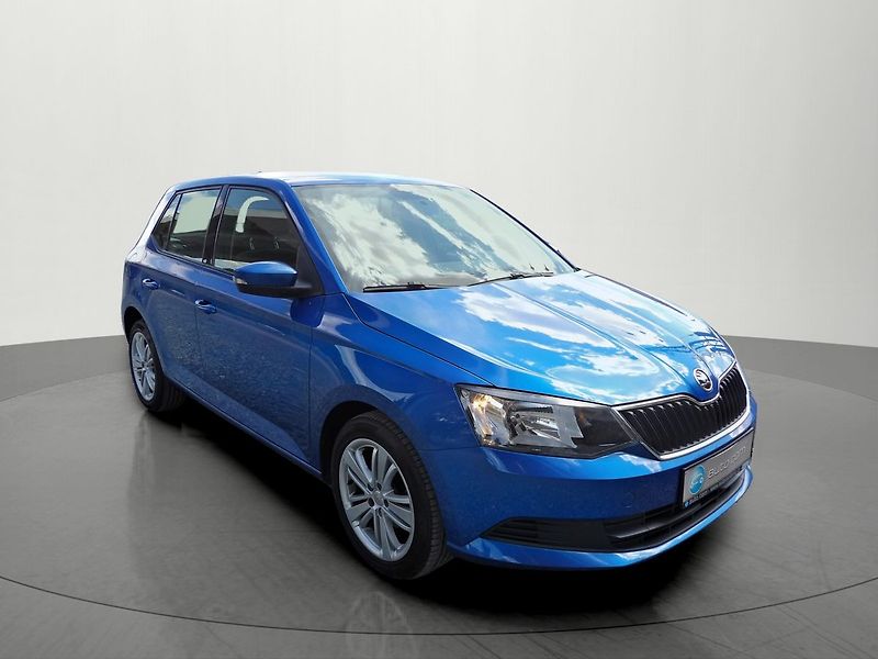 Škoda Fabia 1.0MPi Ambition Alu Tempomat - fotka 6 z 28