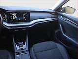 Škoda Octavia (2021) Ambition 2.0 TDI, Automat - náhled 8