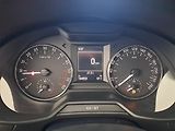 Škoda Octavia (2013) Style 1.6 TDI, Tempomat - náhled 11